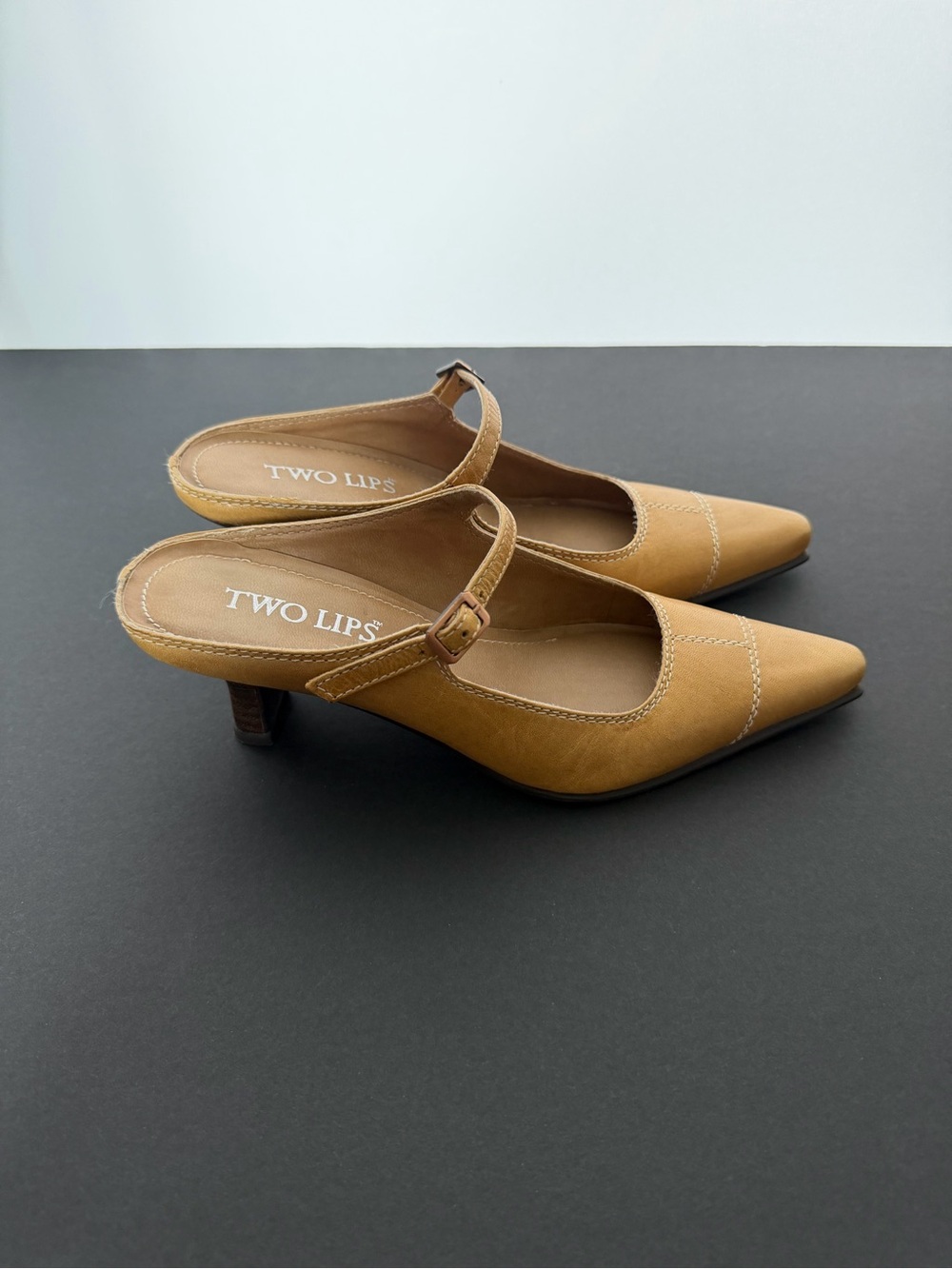 Two Lips Tan Mary Jane Pointed Mules with Low Heel
